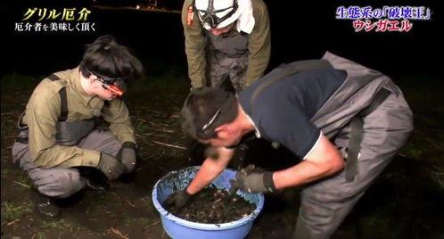 牛哥最新爆料视频大全集,揭秘热点事件背后的真相 第1张 牛哥最新爆料视频大全集,揭秘热点事件背后的真相 第1张