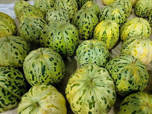 威海吃瓜网红事件,网络舆论的风暴与反思  第3张